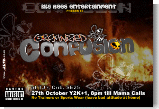 Kila Bees :: Organised Confusion